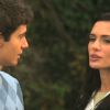 PLL101-00551.jpg