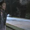 PLL101-01011.jpg