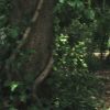 PLL107-00617.jpg
