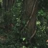 Filename=PLL107-00618.jpg
Filesize=197KiB
Dimensions=1280x720
Date added=Aug 27, 2010 PLL107-00618.jpg