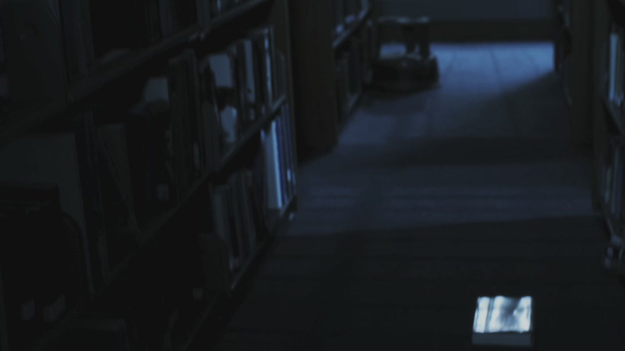 PLL109-00801.jpg