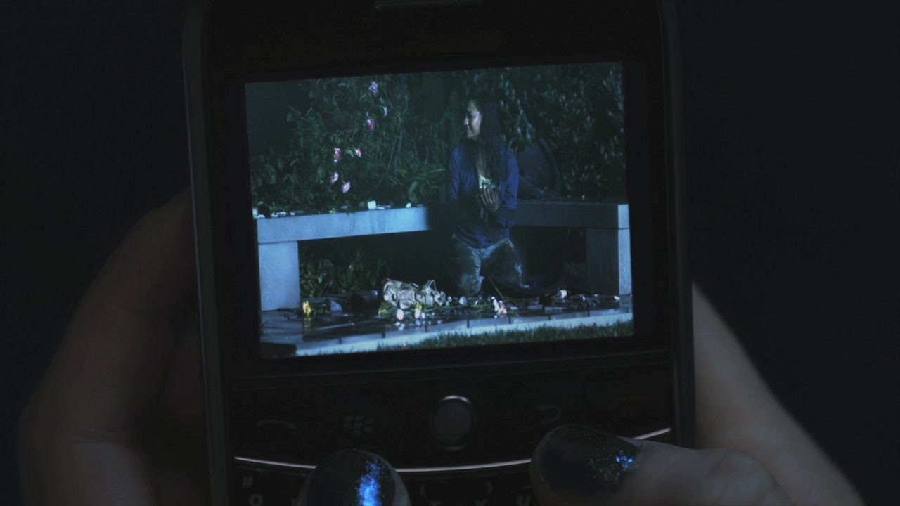 PLL109-00939.jpg