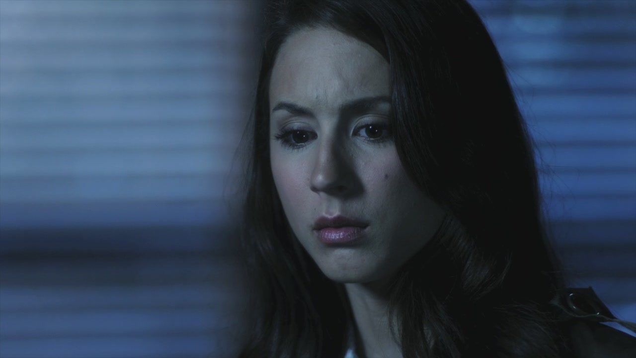 PLL109-01112.jpg