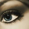 PLL109-00086.jpg