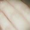 PLL109-00089.jpg