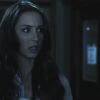 PLL109-00969.jpg