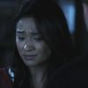 PLL109-00973.jpg