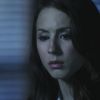PLL109-01112.jpg