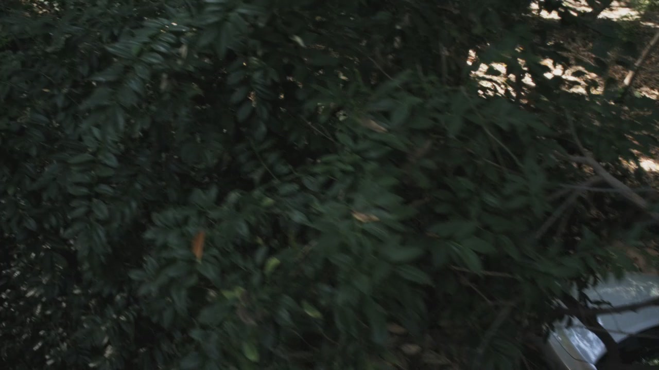 PLL110-00828.jpg