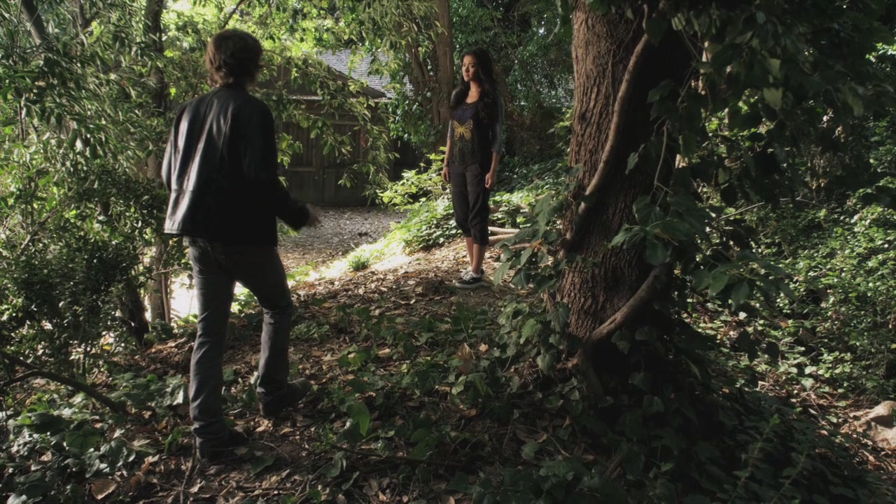 PLL110-00832.jpg