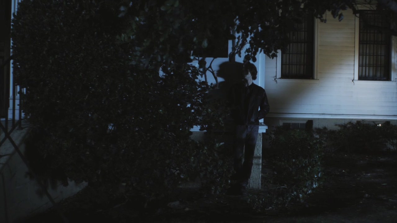 PLL110-01013.jpg