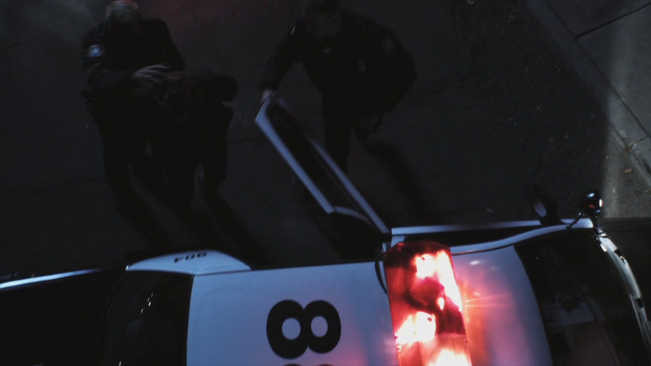 PLL110-01036.jpg