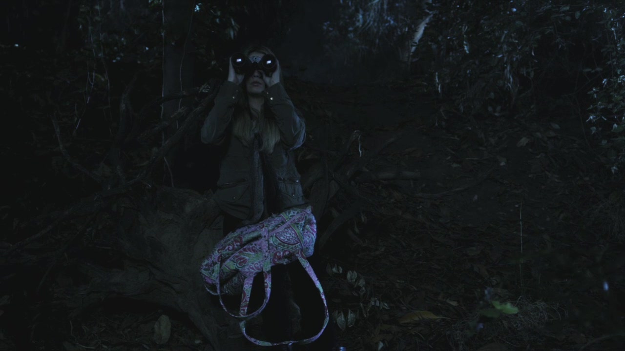PLL110-01072.jpg