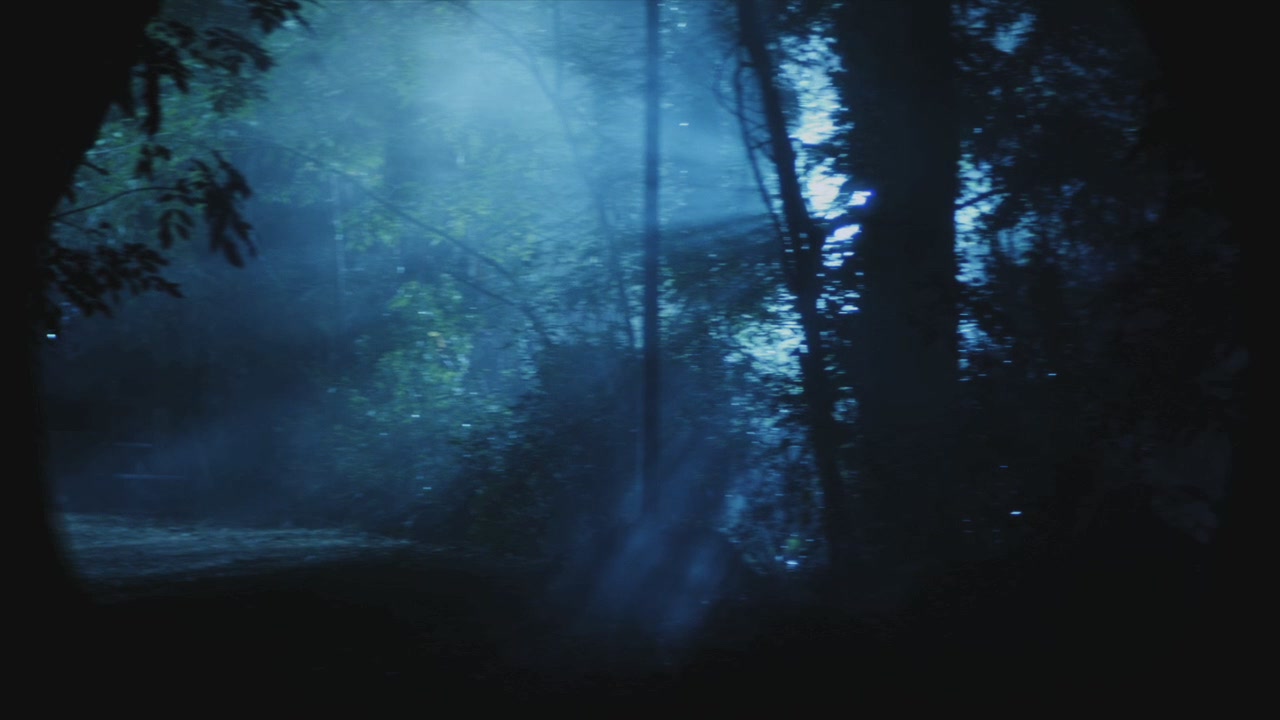 PLL110-01073.jpg