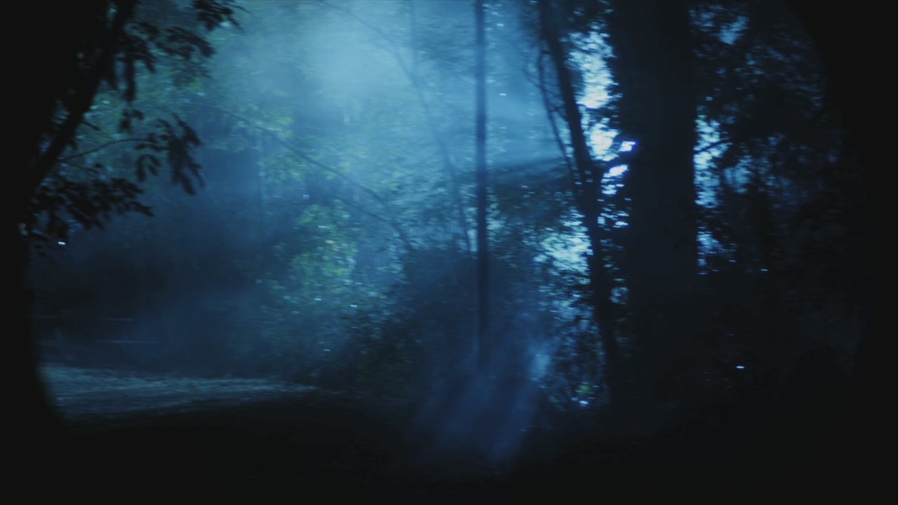 PLL110-01074.jpg