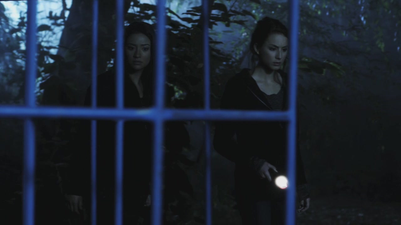PLL110-01092.jpg
