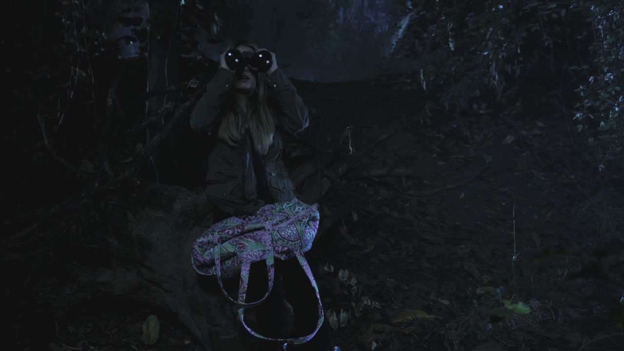 PLL110-01100.jpg