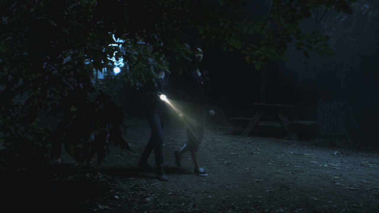 PLL110-01162.jpg