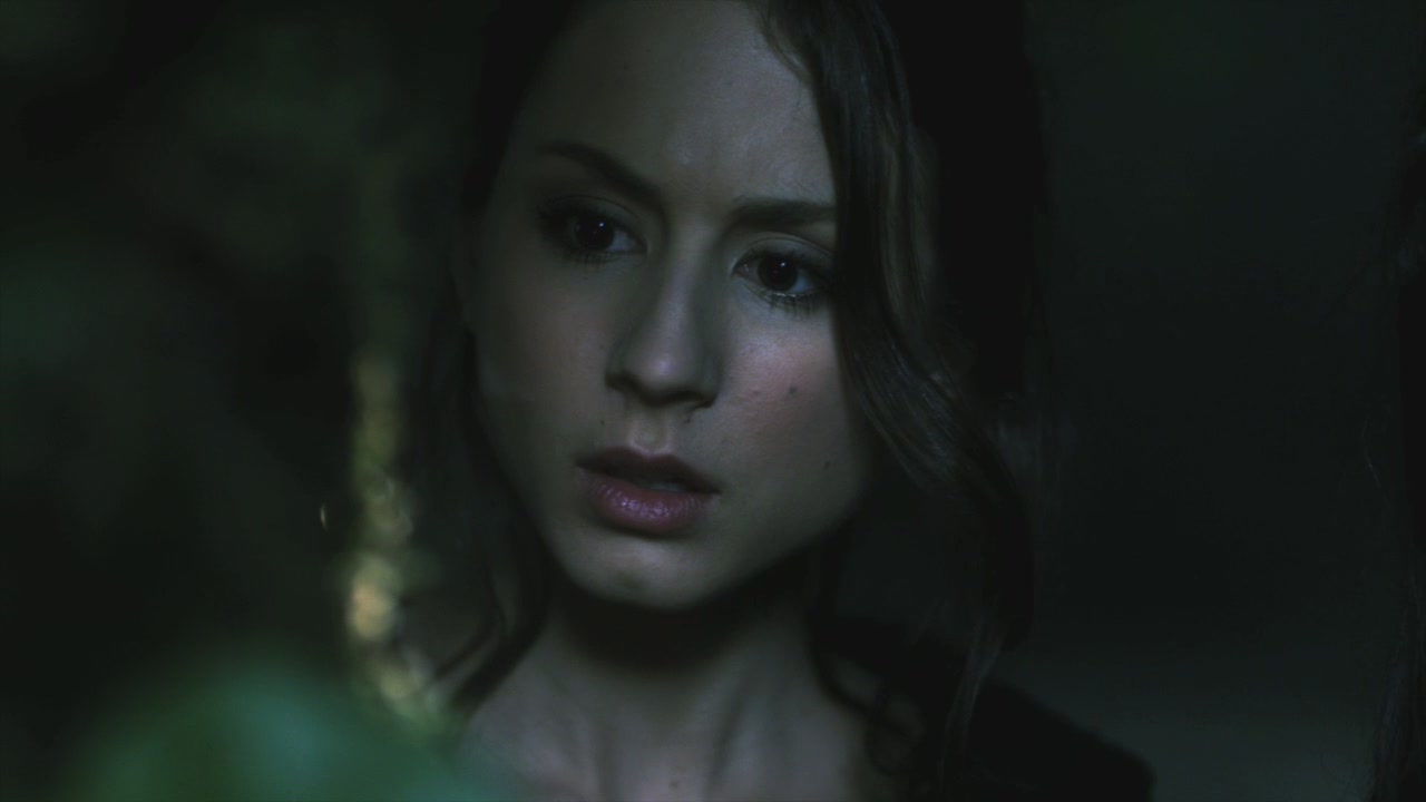 PLL110-01174.jpg