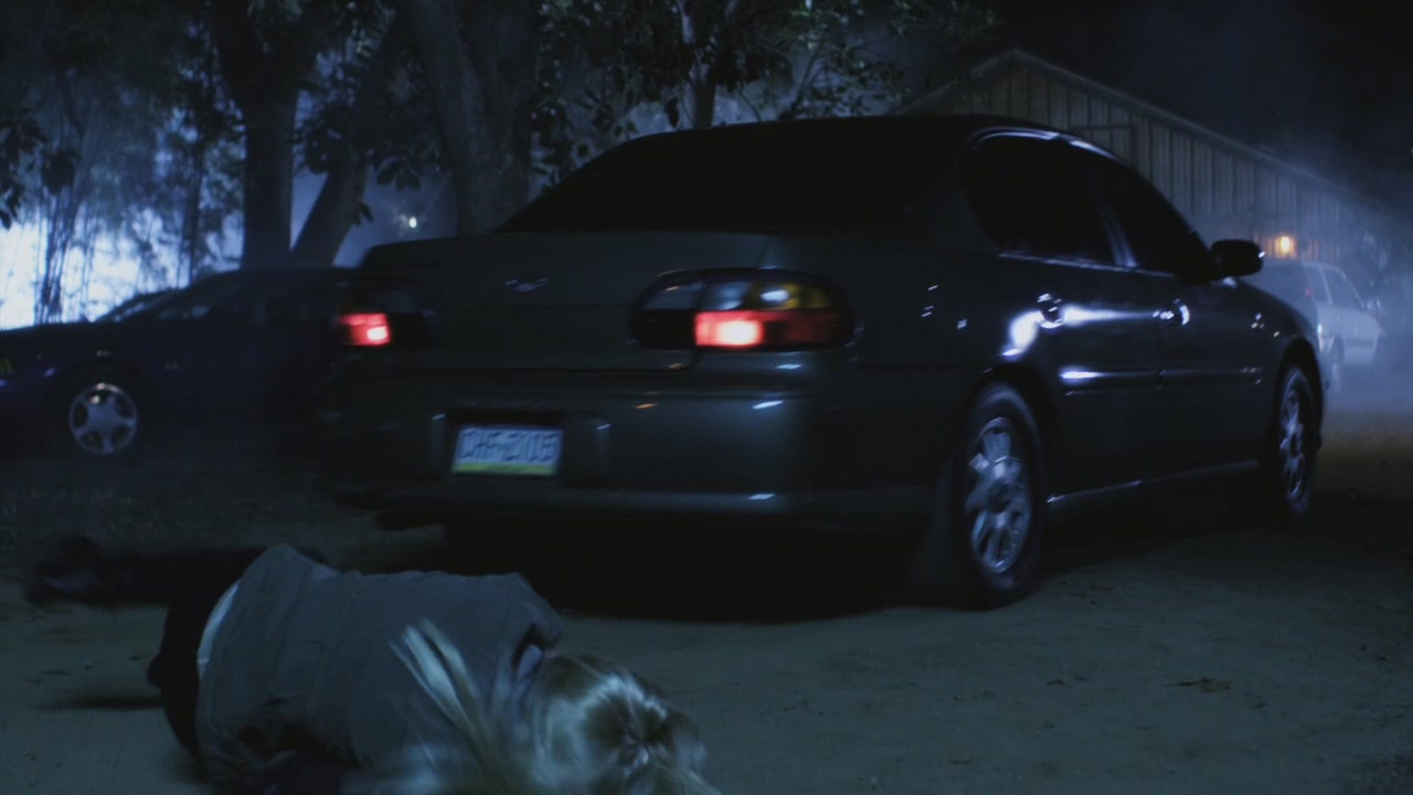 PLL110-01217.jpg
