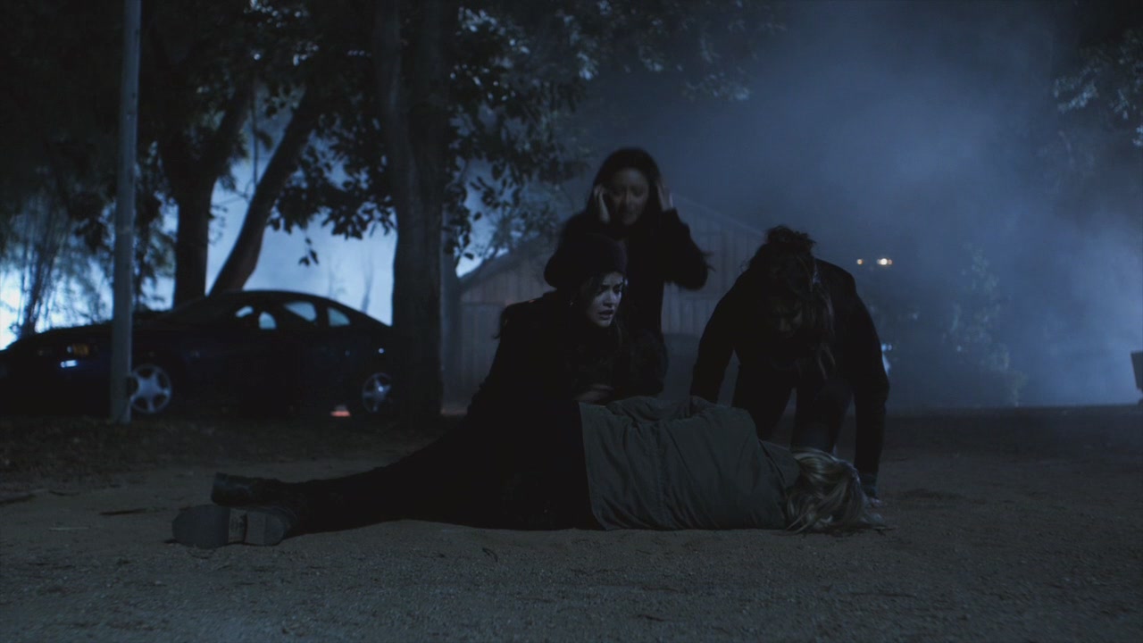 PLL110-01224.jpg
