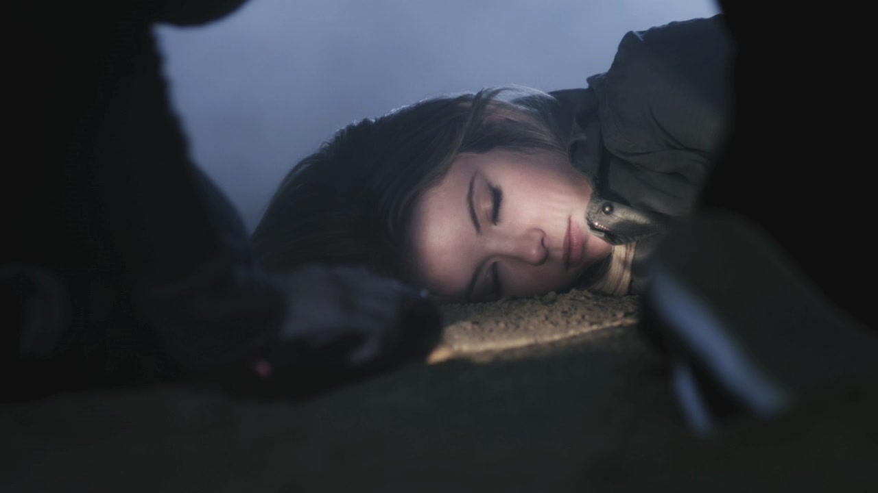 PLL110-01227.jpg