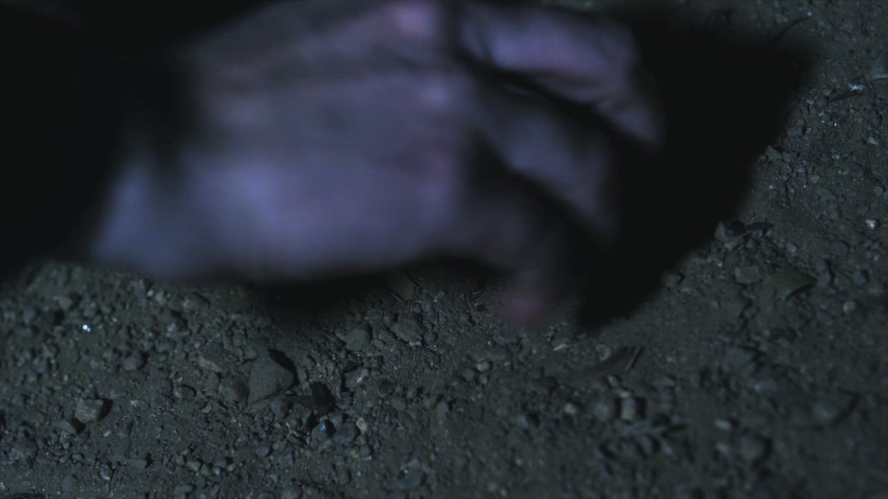 PLL110-01230.jpg