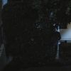 Filename=PLL110-01012.jpg
Filesize=84KiB
Dimensions=1280x720
Date added=Aug 27, 2010 PLL110-01012.jpg