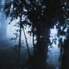 PLL110-01069.jpg