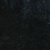 PLL110-01070.jpg
