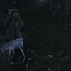PLL110-01071.jpg