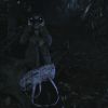 PLL110-01072.jpg