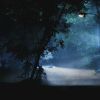 Filename=PLL110-01077.jpg
Filesize=110KiB
Dimensions=1280x720
Date added=Aug 27, 2010 PLL110-01077.jpg