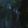 PLL110-01085.jpg