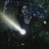 PLL110-01086.jpg