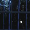 PLL110-01091.jpg