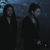 PLL110-01093.jpg