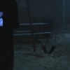PLL110-01095.jpg