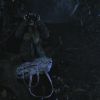 PLL110-01100.jpg