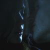 PLL110-01149.jpg