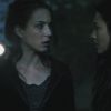 PLL110-01175.jpg