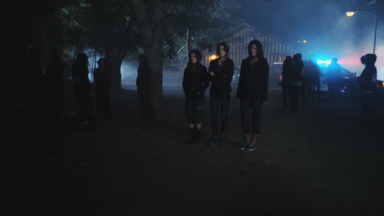 PLL111-0039.jpg