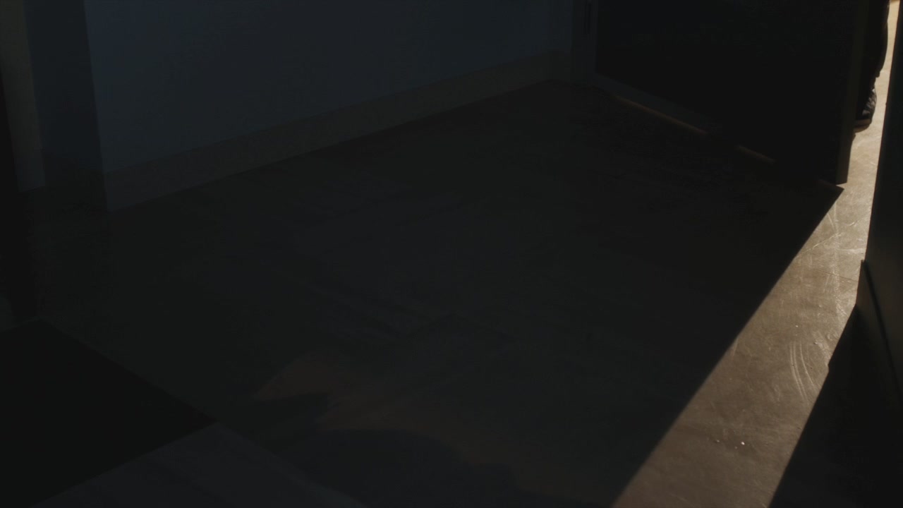 PLL111-0553.jpg