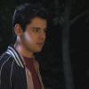 PLL112-0895.jpg