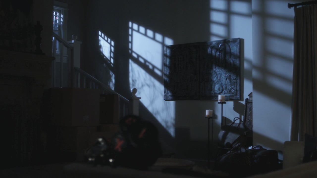 PLL113-0000.jpg