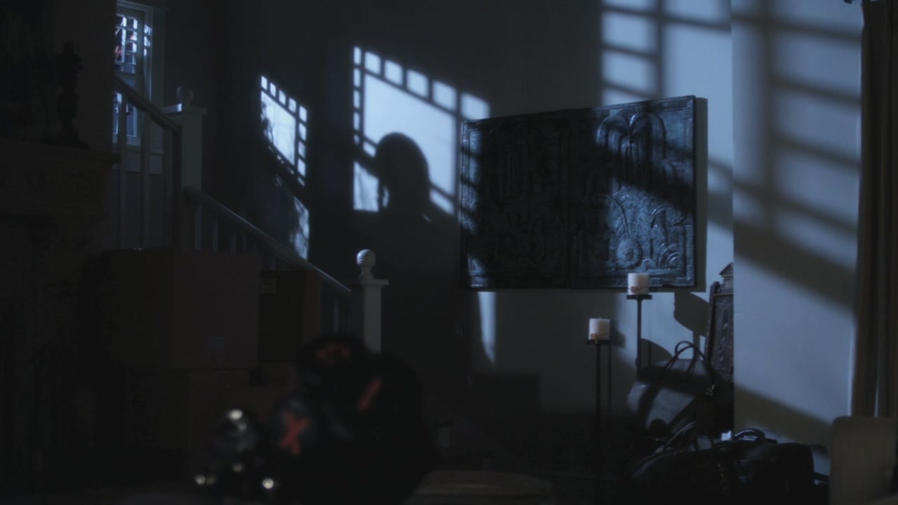 PLL113-0004.jpg