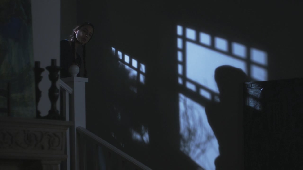 PLL113-0008.jpg