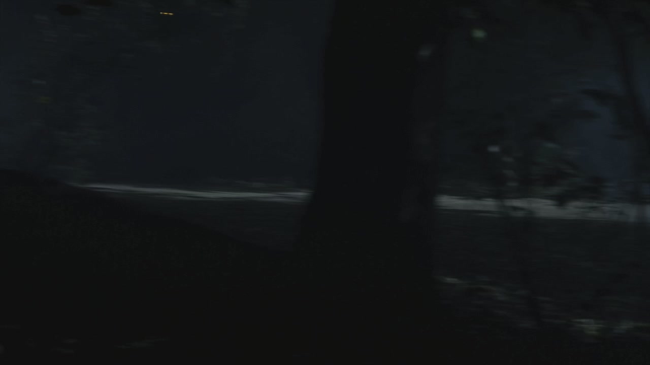 PLL113-1245.jpg