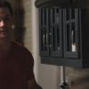 PLL113-0082.jpg