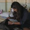 PLL113-0556.jpg